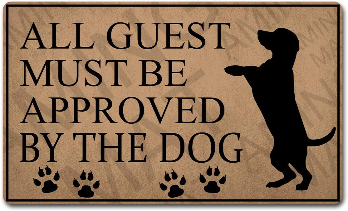 Funny Welcome Indoor Doormat(30 x 18 inch) Crazy Dogs Live Here Do Not Knock They Will Bark I Will Yell Shit Will Get Real Monogram Mat With Anti-Slip Rubber Back Indoor Doormat For The Entrance Way