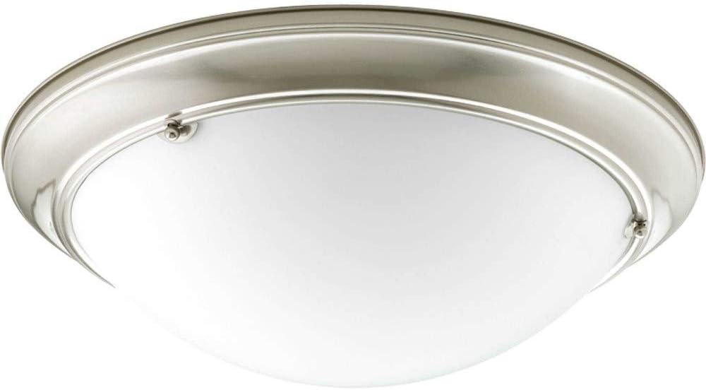 Progress Lighting P3563-09 Lighting Accessory, Pewter, Nickel, Silver