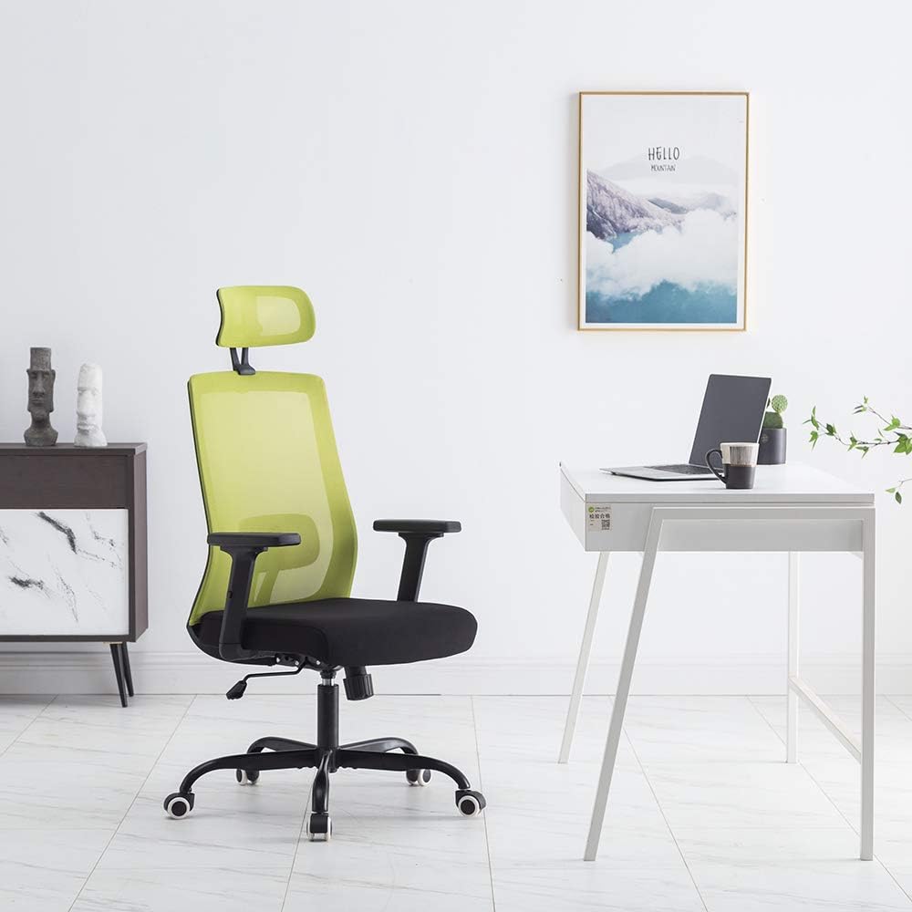 Sidanli Green Mesh Office Chair, High Back Computer Chair with Adjustable Armrests