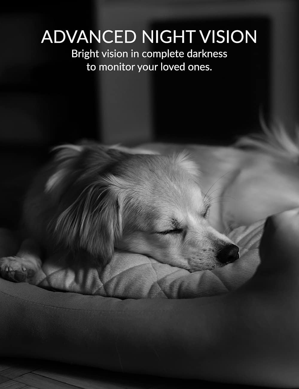 YI Dog Camera with Phone App, WiFi Indoor Cam with 2-Way Audio, Night Vision, 360-degree, Sound Motion Detection, Cat Pet Puppy Bird Animal Doggie Nanny Cam, Compatible with Alexa and Google Pack of 2