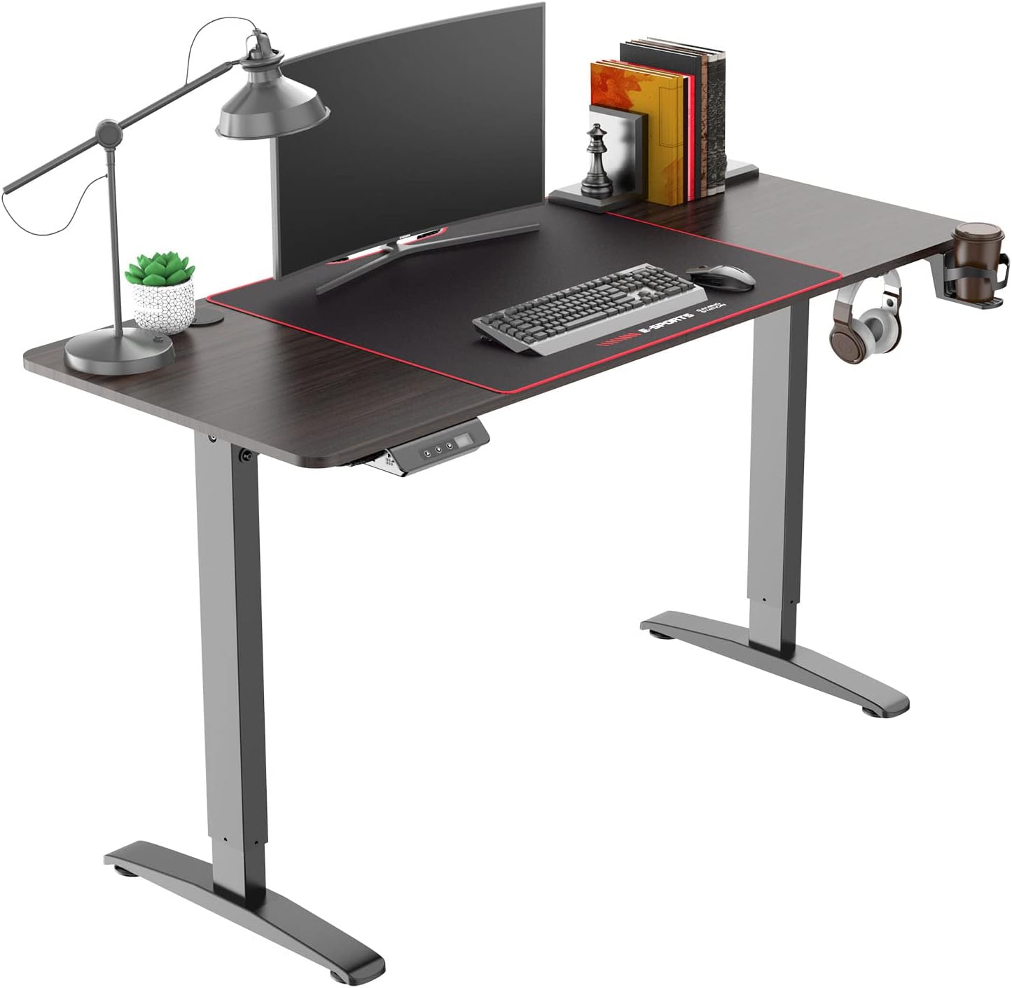 ERfairdeal Electric Lift Standing Desk, 55 x 24 Height Adjustable Standing Desk, Spacious Desk, Desk with Memory Function and Overload Protection, Walnut Top, Home, Office, Easy to Assemble