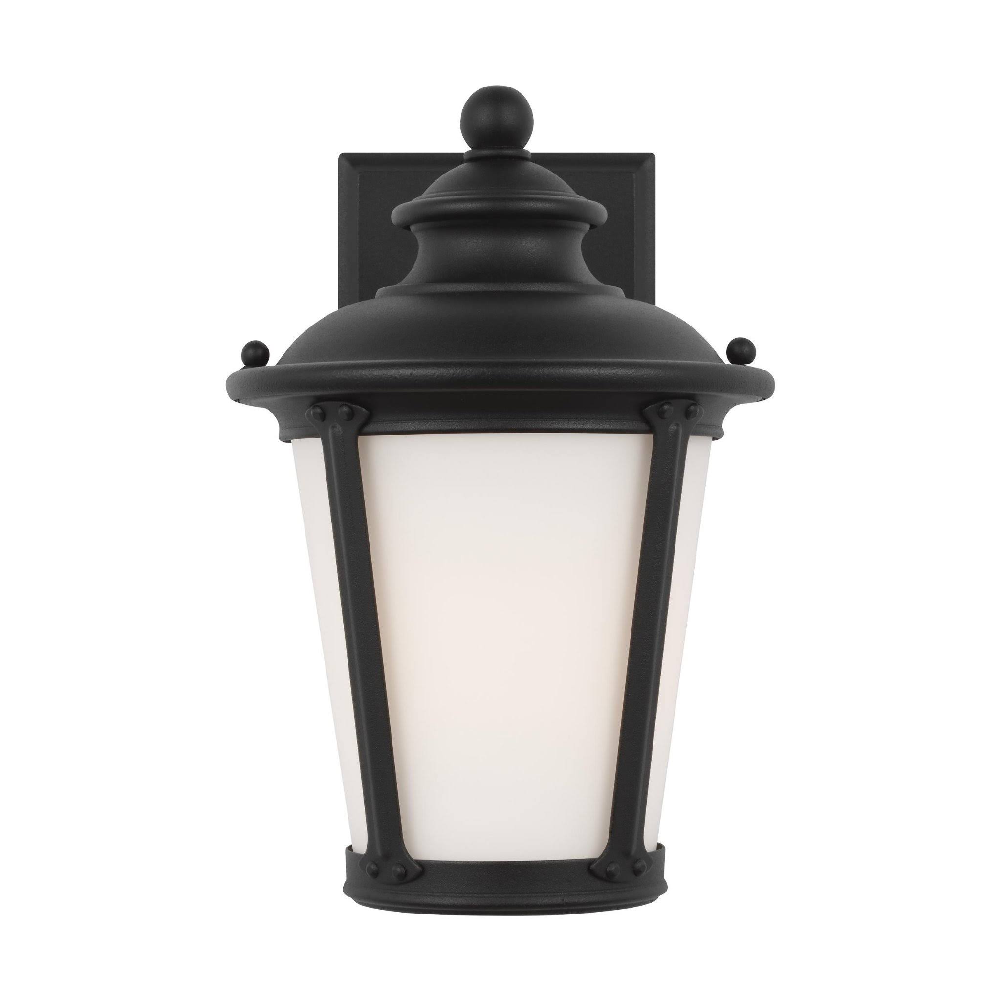 Sea Gull Lighting Cape May 1-Light Black Outdoor Wall Lantern 88240-12