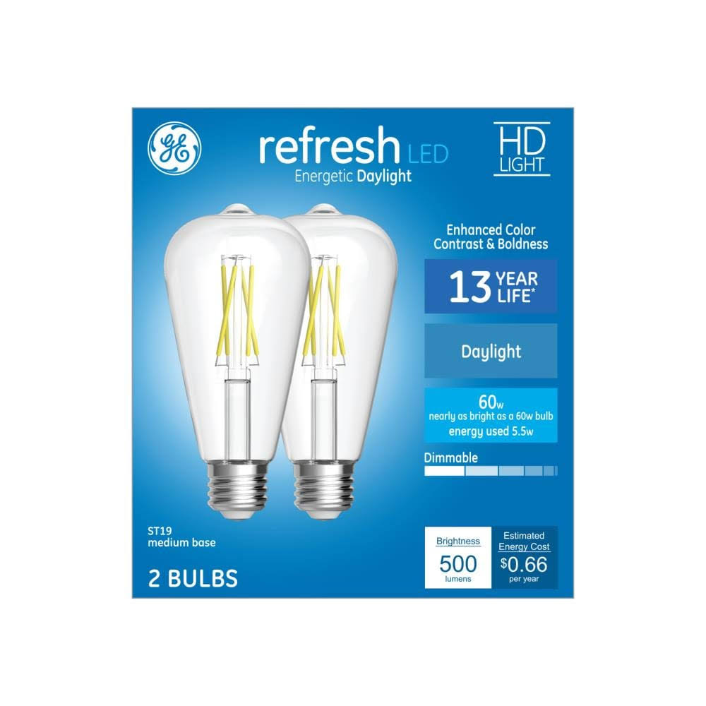 GE Vintage 60-Watt EQ ST19 Daylight Dimmable Decorative Light Bulb (12-Pack) | 93124196