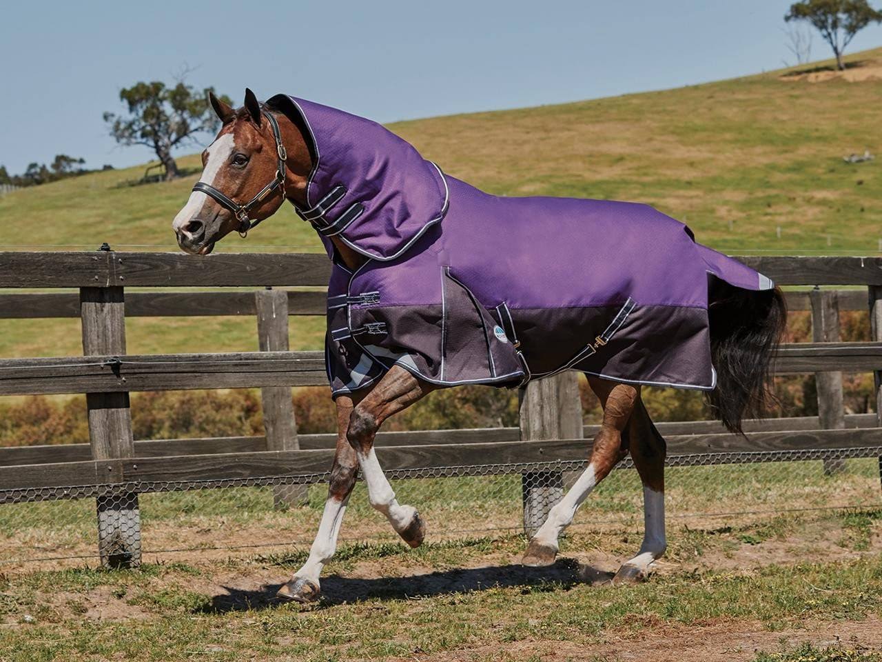 Weatherbeeta ComFiTec Plus Dynamic Detach-A-Neck Medium - Purple/Black