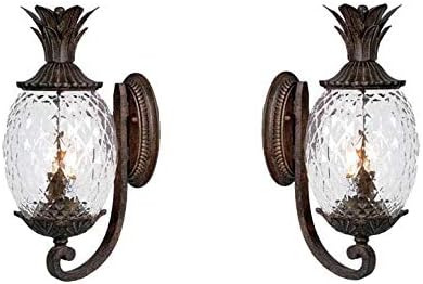 Acclaim VC-7501BC-2 Lanai Collection 2 Wall Mount Outdoor Light Fixture, Black Coral-2 Pack