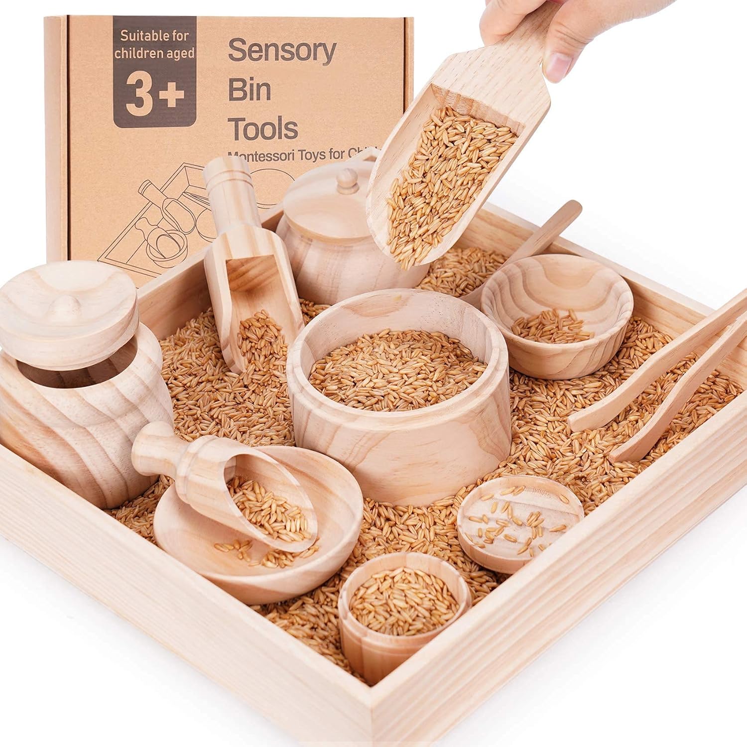 Sensory Bin Tools with Wooden Box, Montessori Toys for Toddlers, Sensory Toys, Set of 12 Wooden Scoops and Wooden Tongs for Transfer Work and Fine Motor Learning, Motor Skills Development Pack of 2