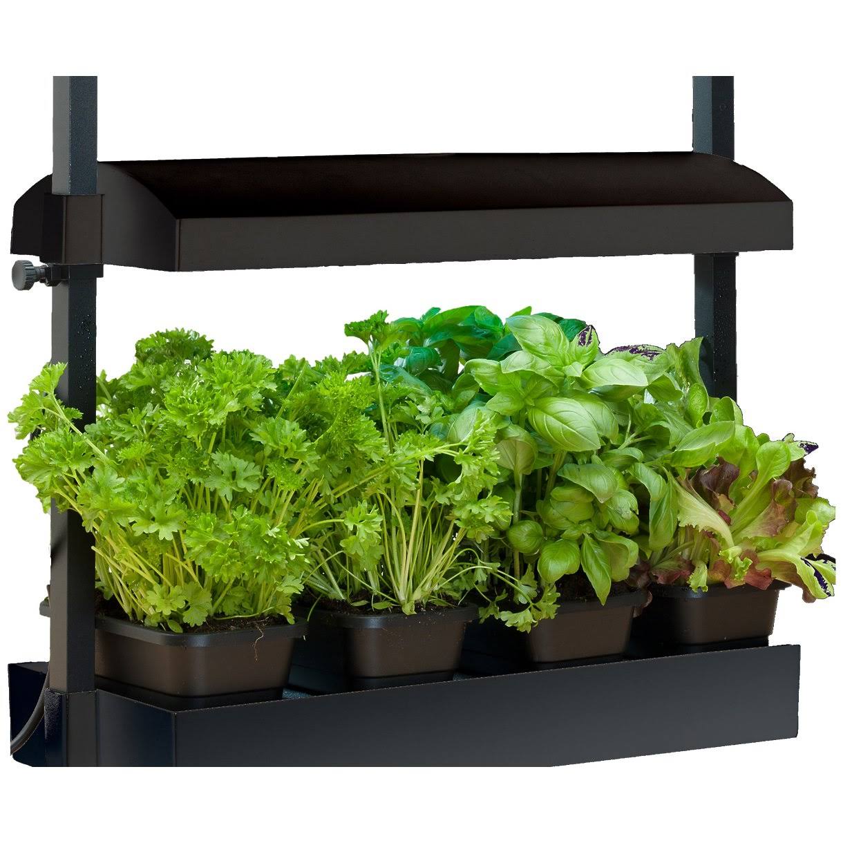 SunBlaster Micro Grow Light Garden, Black