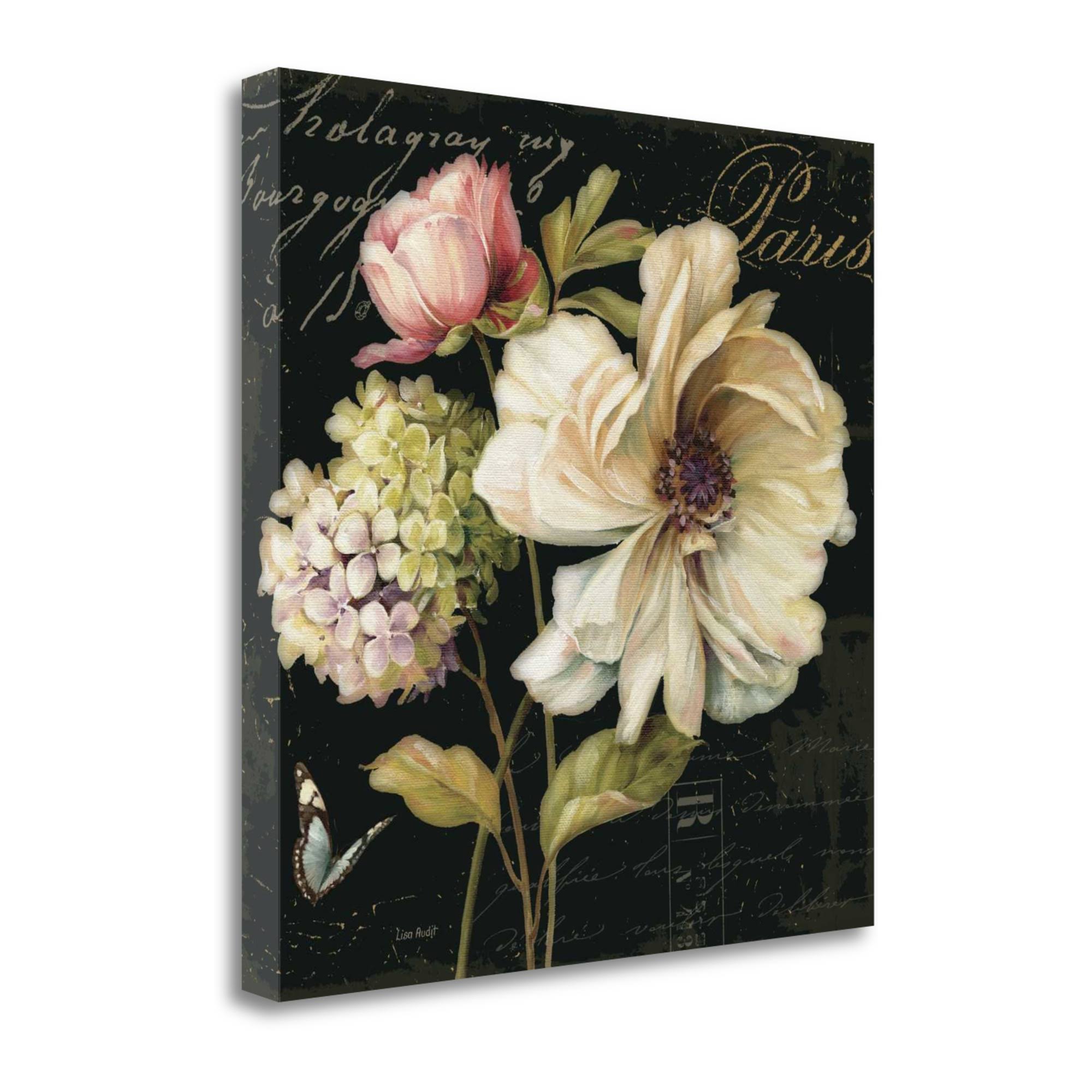 Tangletown Fine Art Marche De Fleurs on Black II by Lisa Audit