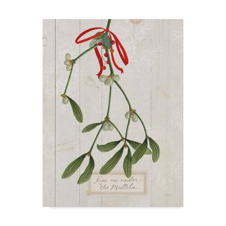 Trademark Fine Art Wap04654-C3547Gg Sue Schlabach 'Joyful Tidings V on