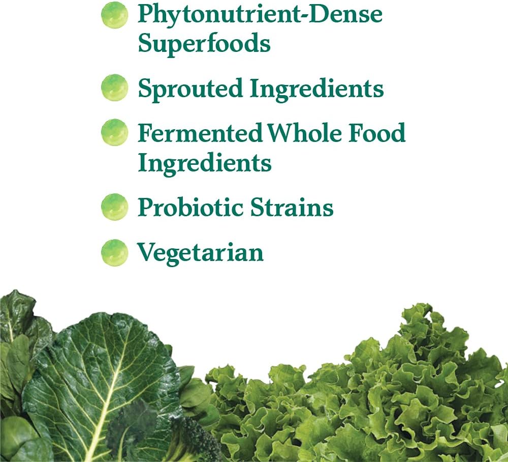 Garden of Life Whole Perfect Green Superfood Vegetable Dietary Powder Supplement, 600 g Pack of 2