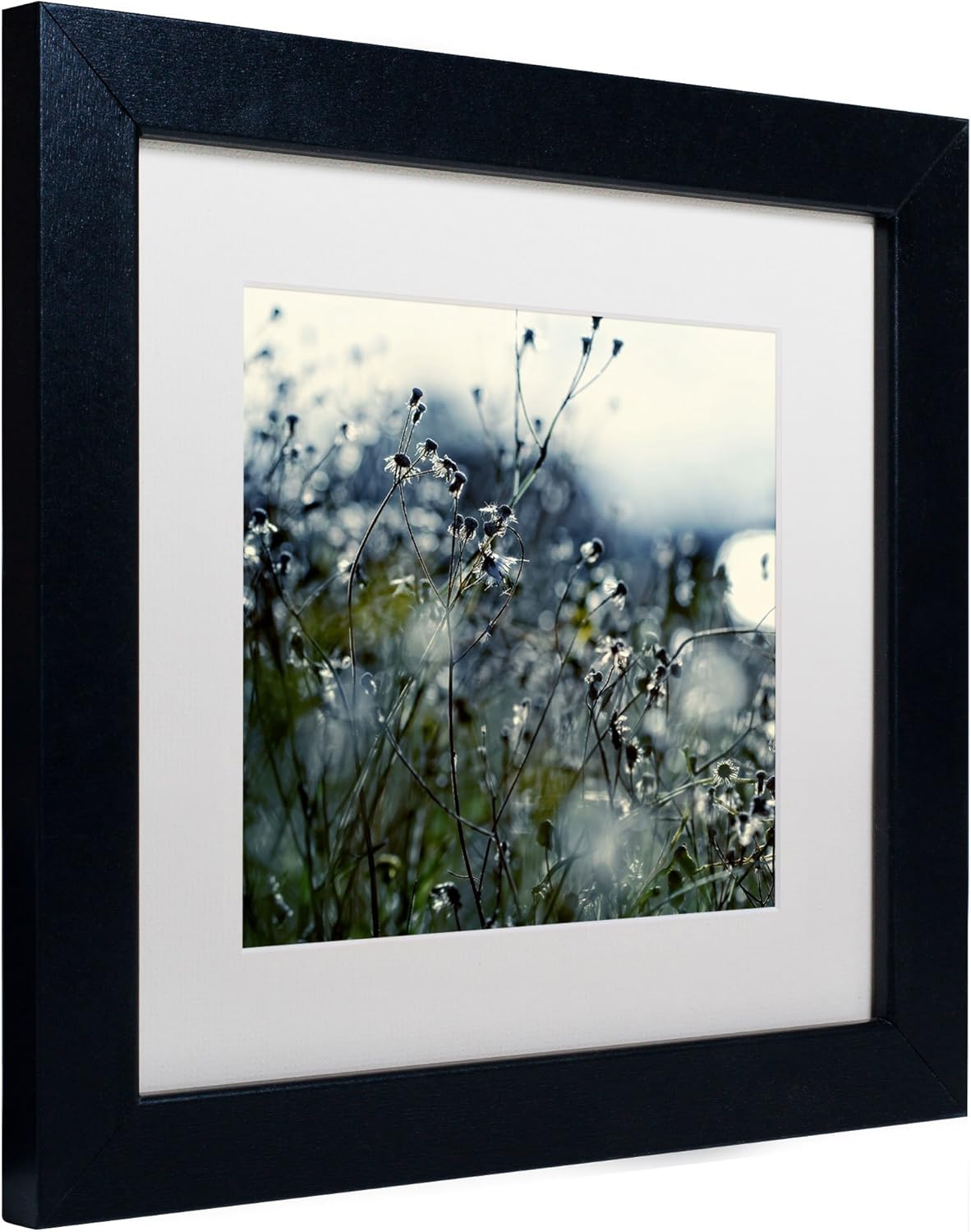In Silence Artwork Beata Czyzowska Young in White Matte and Black Frame, 11 by 11-Inch Pack of 2
