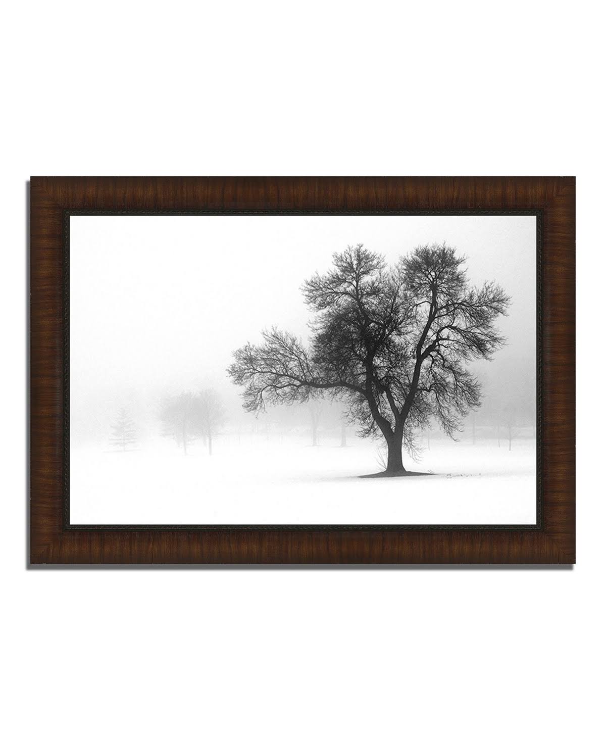 Tangletown Fine Art 44x22 x 63x22 Reaching Out Framed Photograph Print