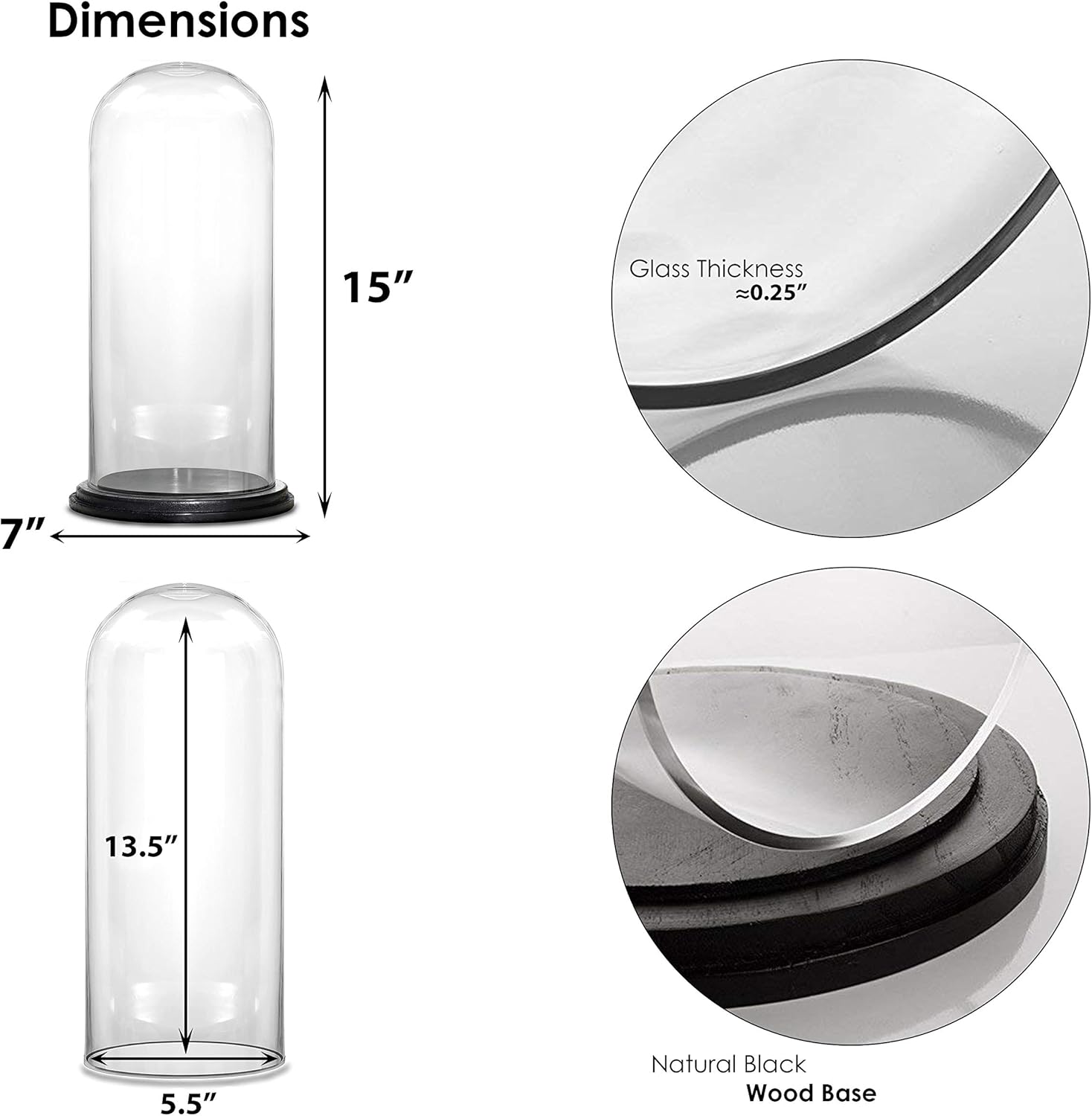 CYS EXCEL Dome Glass Cloche with Black Wood Base (H:15