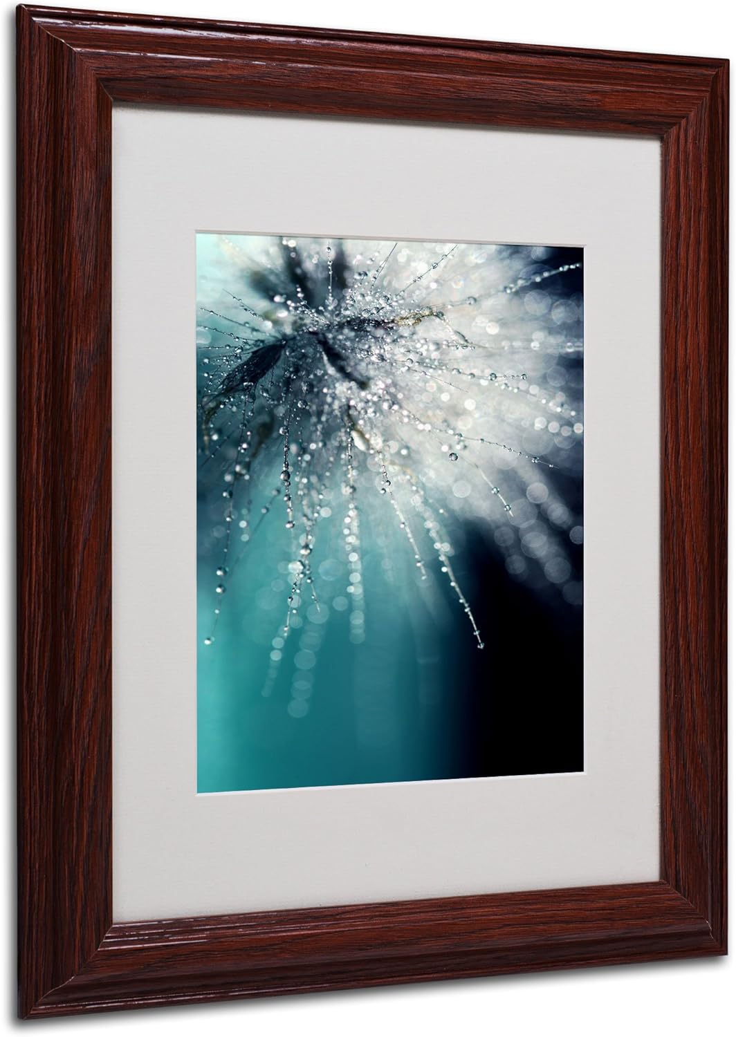 Morning Sonata Artwork by Beata Czyzowska Young, 11 by 14-Inch, Wood Frame Pack of 2