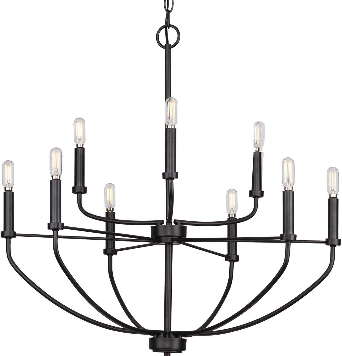 Leyden Collection 9-Light Matte Black Farmhouse Chandelier Light