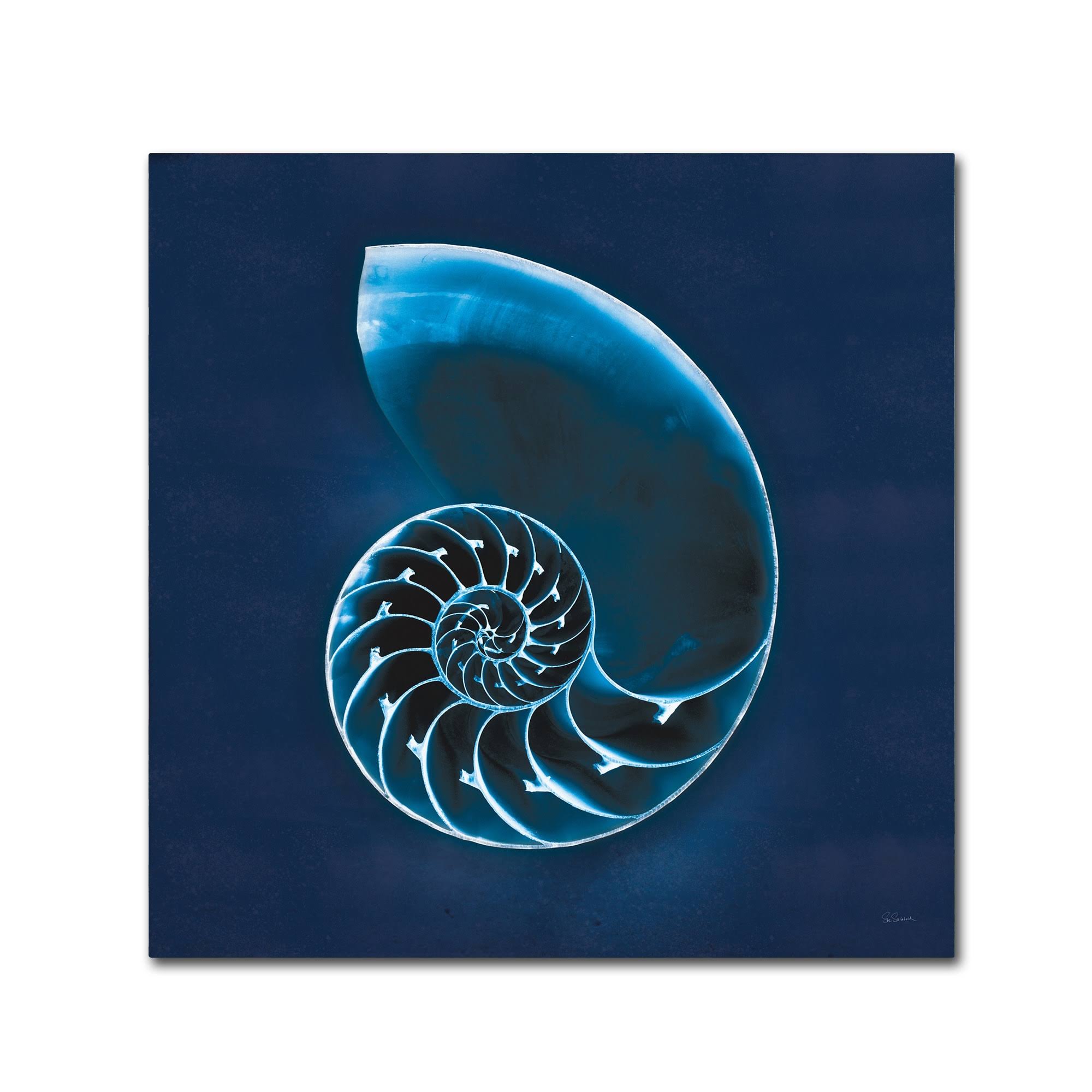 Trademark Fine Art Wap01224-C2424Gg Sue Schlabach 'Cyanotype Sea II' C
