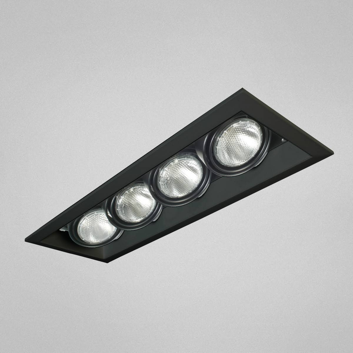 Eurofase 4-Light Linear Multiple Recessed, PAR30, Black Finish - TE134A-01