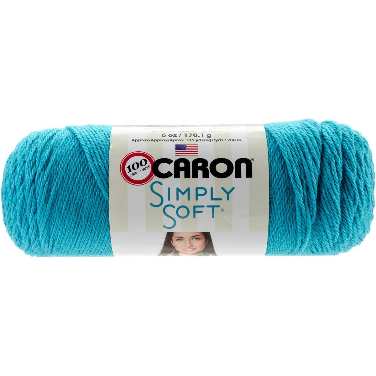 Caron Simply Soft Brites Yarn Blue Mint, Multipack of 24
