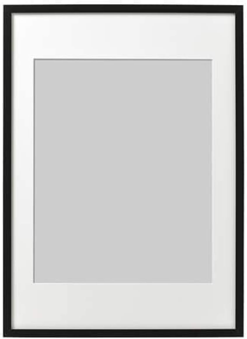 IKEA Ribba Frame Black 502.688.74 Size: 19 3/4x27 1/2 Pack of 2