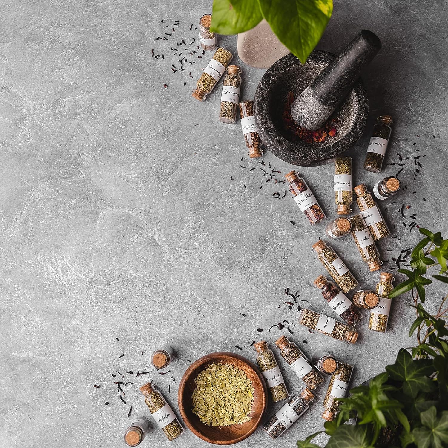 LULLI Spell Herbs for Witchcraft - 24 Bottles of Magical Herbal Supplies for Pagan, Wiccan, Witch Spells & Ritual (15ML Paper Box) Pack of 2