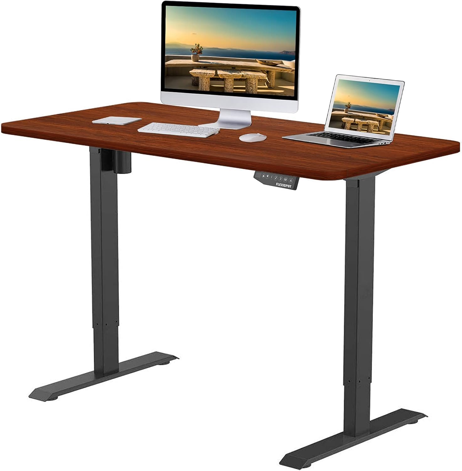 FLEXISPOT EN1B-R5528B Electric Height Adjustable Desk, 55 x 28 Inches, Home Office Sit Stand Up Desk(Black Frame +55 inch Black Top)