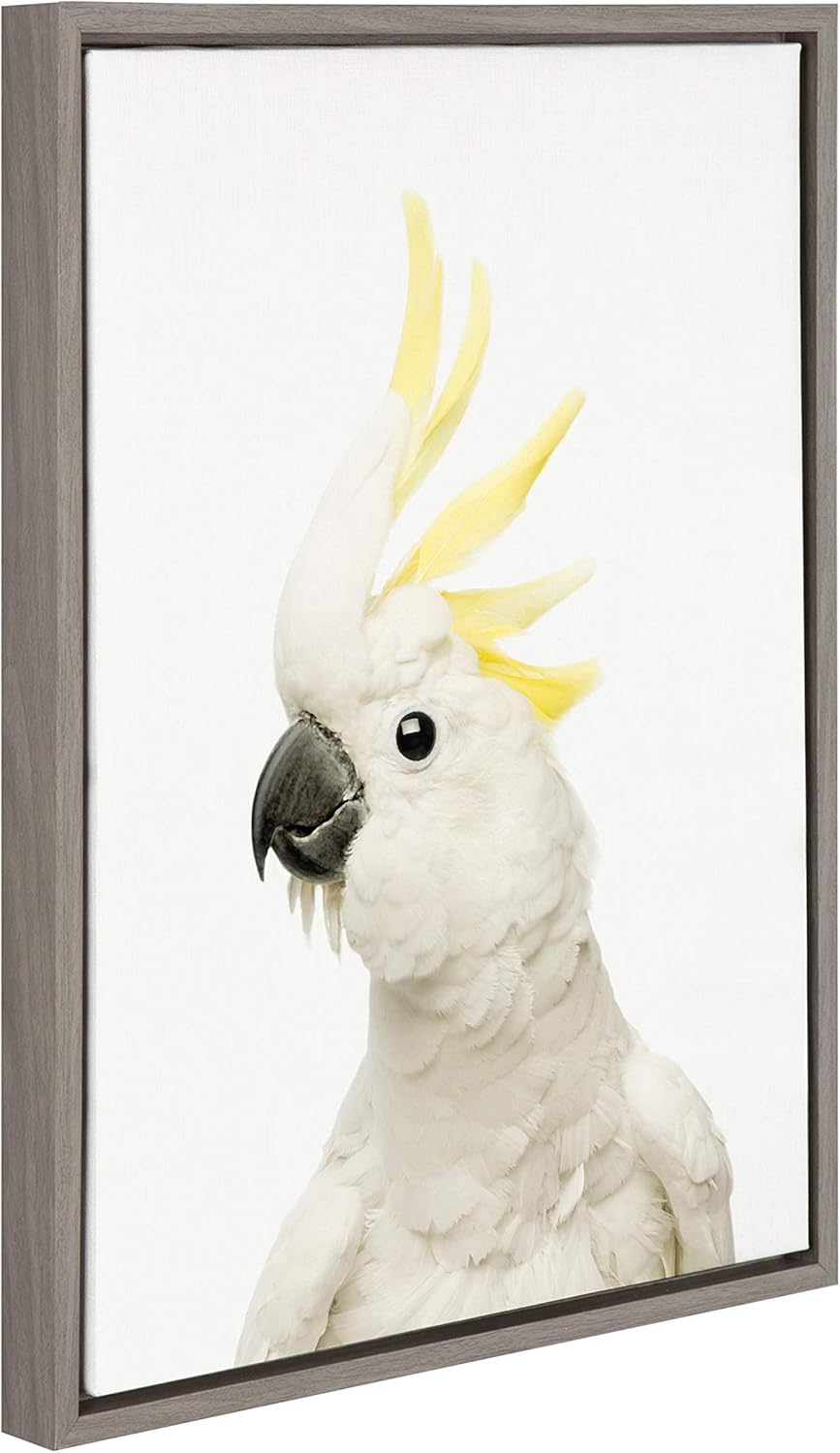 Kate and Laurel Sylvie Parrot Framed Canvas by Amy Peterson, 18x24, Gray Pack of 2