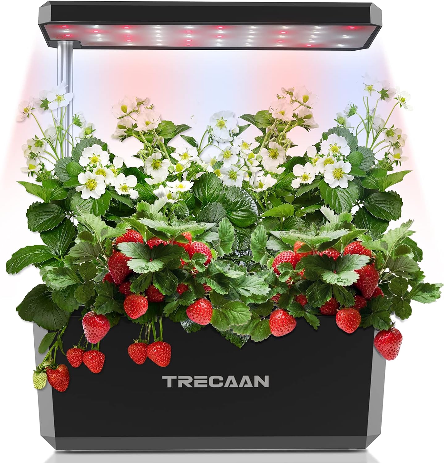 Hydroponics Growing System,Trecaan Indoor Gardening System with 6 Pods Smart Plant Growing Kit with Pump Black Pack of 2