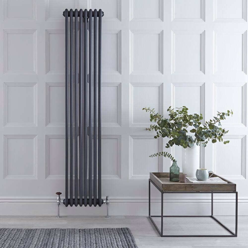 Hudson Reed Regent - Cast Iron Hot Water Radiator - 71x22 x 14x22 - Vertical European Design - Anthracite NAHBAT13