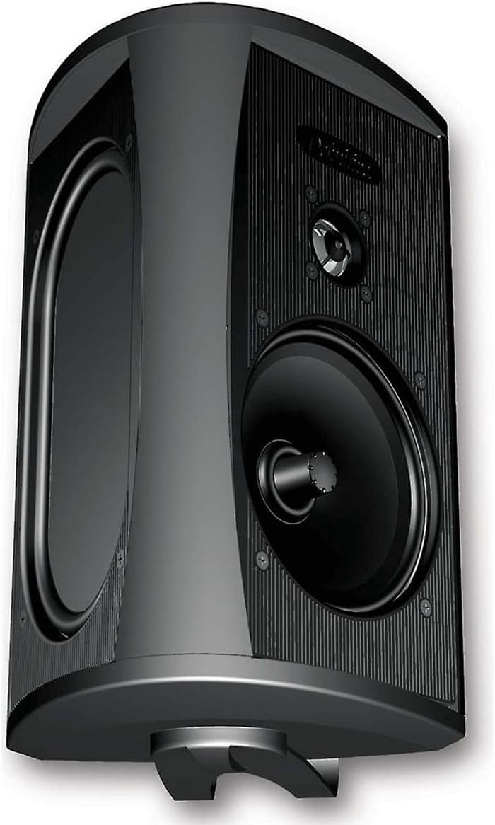 Definitive Technology AW 5500 All Weather Speaker with Bracket - Each (Black)