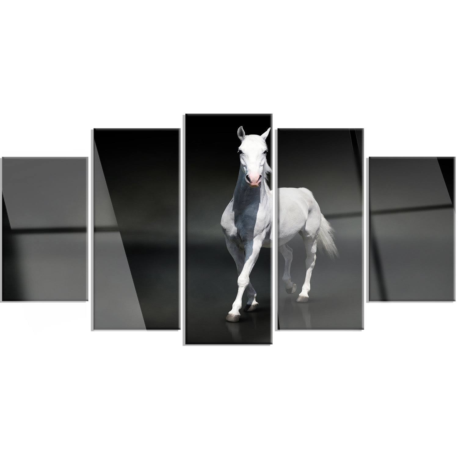 Design Art &Isolated Black Horse on Black& 5 Piece Graphic Art on Metal Set