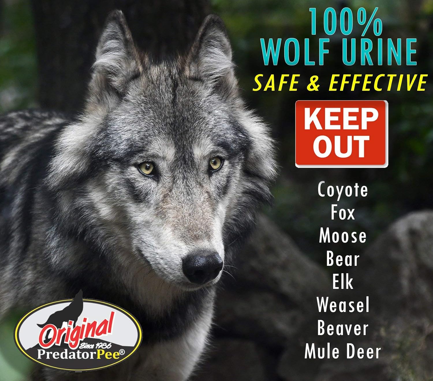 Predator Pee 100% Wolf Urine - Territorial Marking Scent - Creates Illusion That Wolf is Nearby - 16 oz Pack of 2