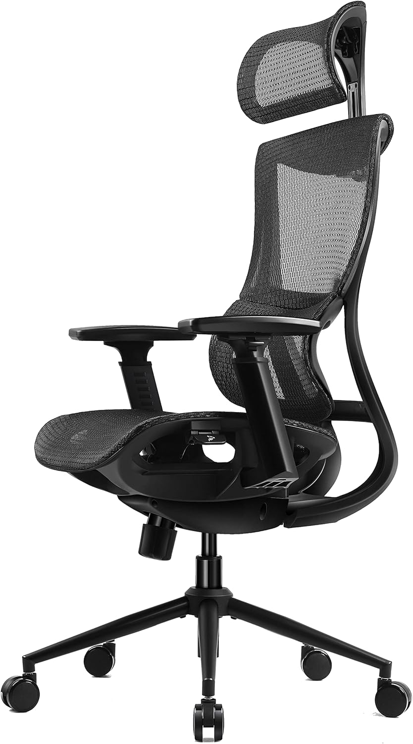 Dowinx Ergonomic Office Chair, High Back Computer Chair with Depth Adjustable Seat and Lumbar Support, Mesh Desk Chair with 3D Adjustable Armrests (Black)