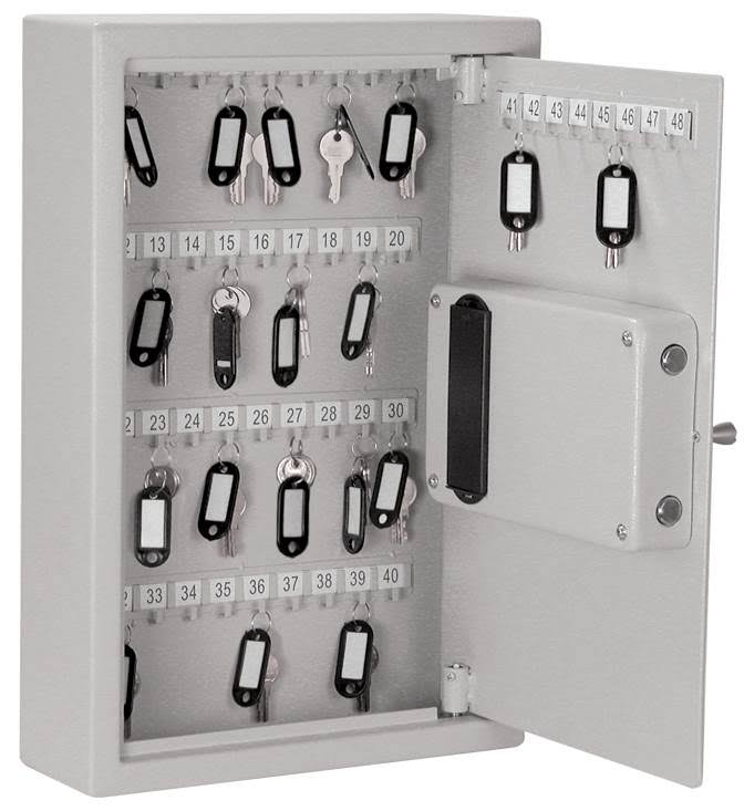 Buddy Electronic 48 Capacity Key Cabinet: Platinum
