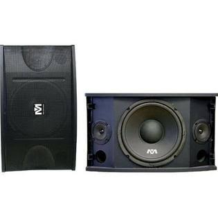 Better Music Builder CS-500 Pro 450 Watts Karaoke Speaker Pair, Black