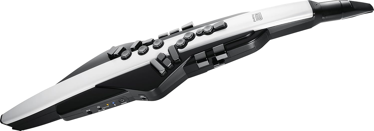 Roland Digital Wind Instrument, Matte Black and White (AE-20)