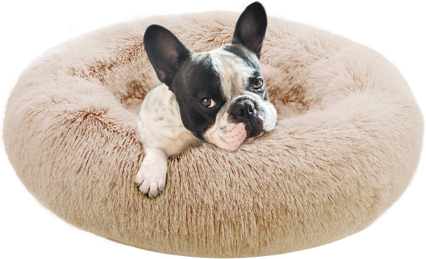 Eterish Fluffy Round Calming Dog Bed, Small Anxiety Donut Dog Bed for Small Dogs, Pet Cat Bed with Raised Rim, Machine Washable, 23 inches Light Grey