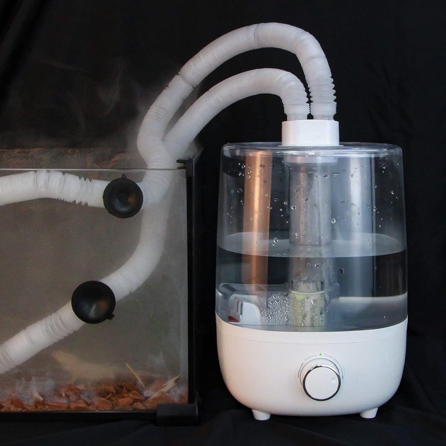 Reptile Humidifier 4L Double Extension Tube 2 in 1 Join for Amphibians and Reptile Fogger with Humidity Control Creating a Rainforest Environment (Green 4L) Pack of 2