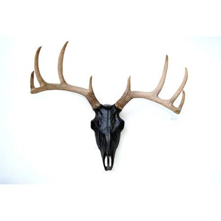 Faux Taxidermy Buck Skull Wall D&eacute;cor Color: Black/Natural