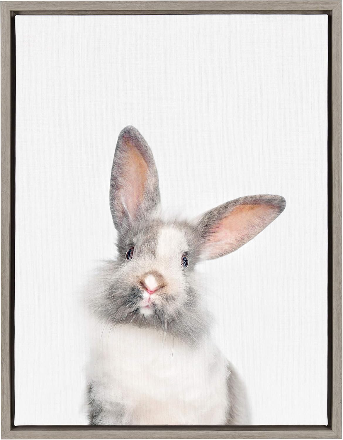 Kate and Laurel Sylvie Young Rabbit Framed Canvas by Amy Peterson, 18x24, Gray Pack of 2