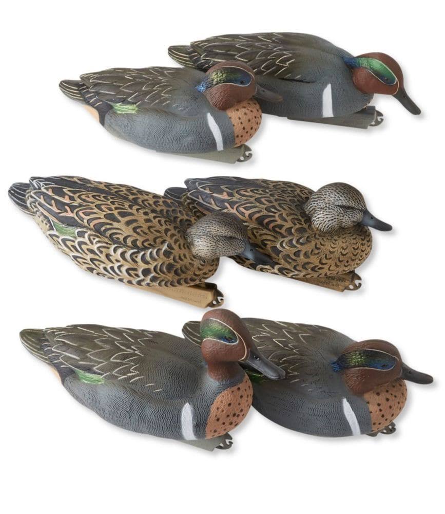 Avery Pro-Grade Green-winged Teal, 6 Pack