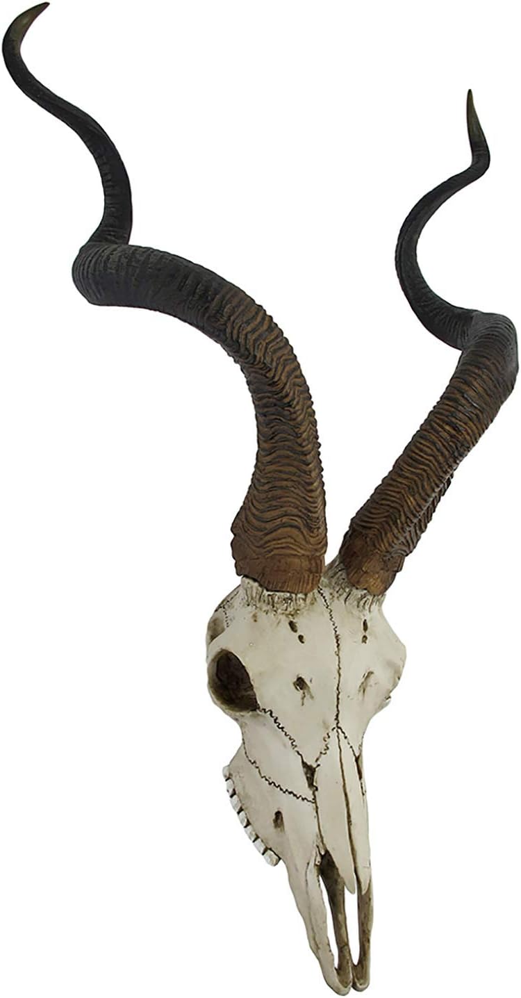 Veronese Design African Kudu Antelope Skull Wall Hanging Cool Twisted Horns Pack of 2
