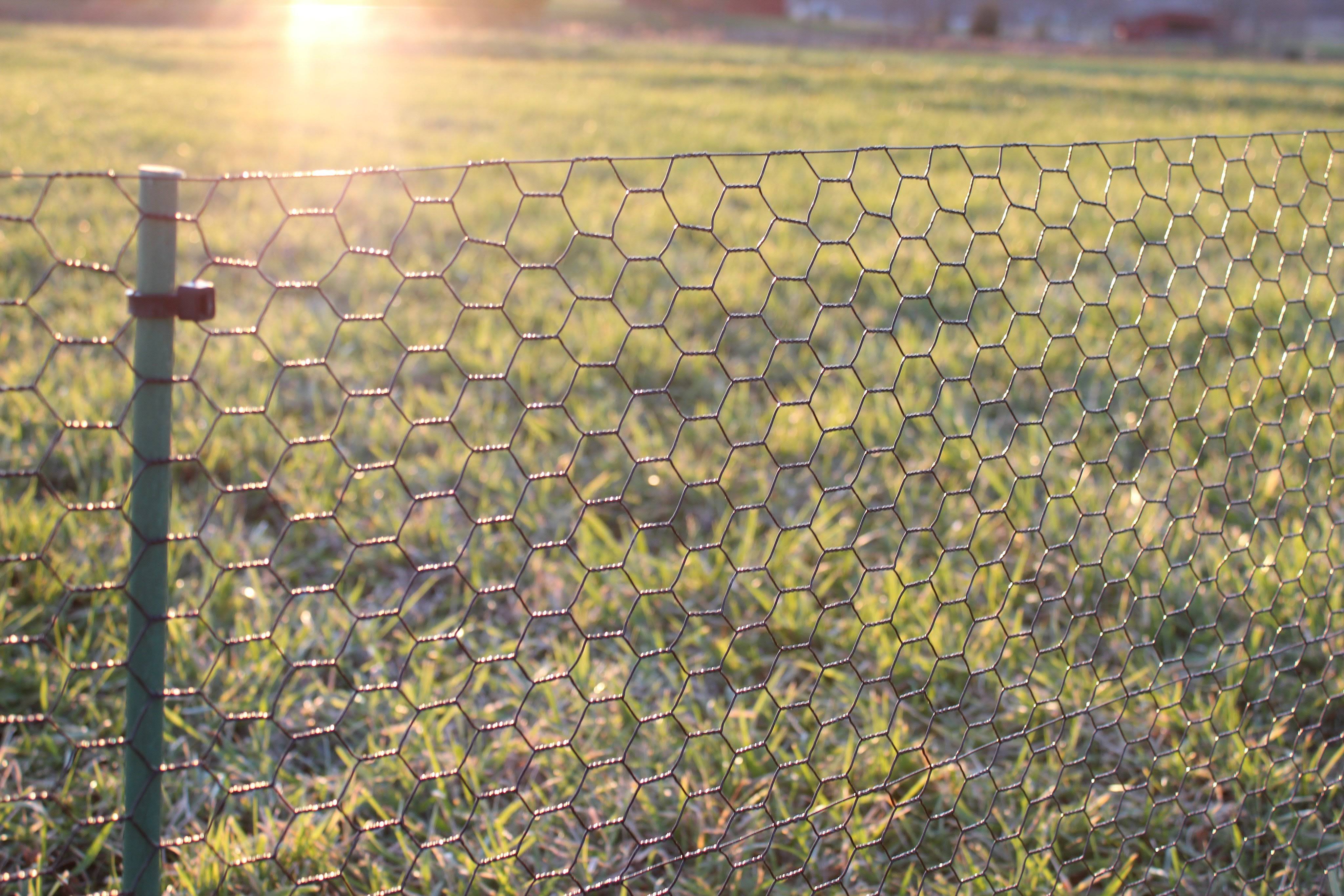 Easypetfence 5& x 150& Steel Hex Web Black PVC Coated Dog Fence