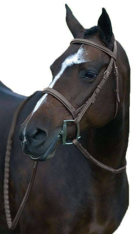 Rodrigo Pessoa Fancy Wide Show Bridle W Raised Laced Reins Pony / Dark Brown