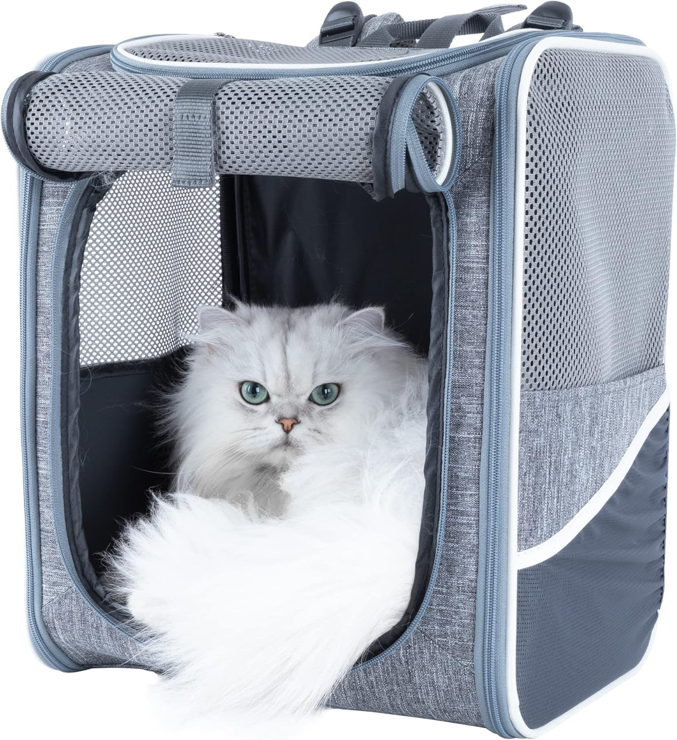 petisfam Cat Backpack Carrier for Medium Cats and Small Dogs. Sturdy, Lightweight, Comfortable to Carry. Comes with Professional Weight Distribution System to Save Energy and Improve Stability