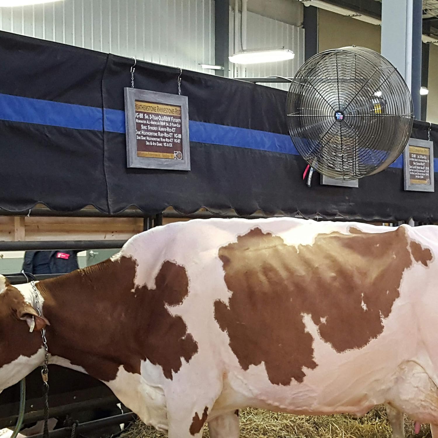 Schaefer F5-24 Versa-Kool 24