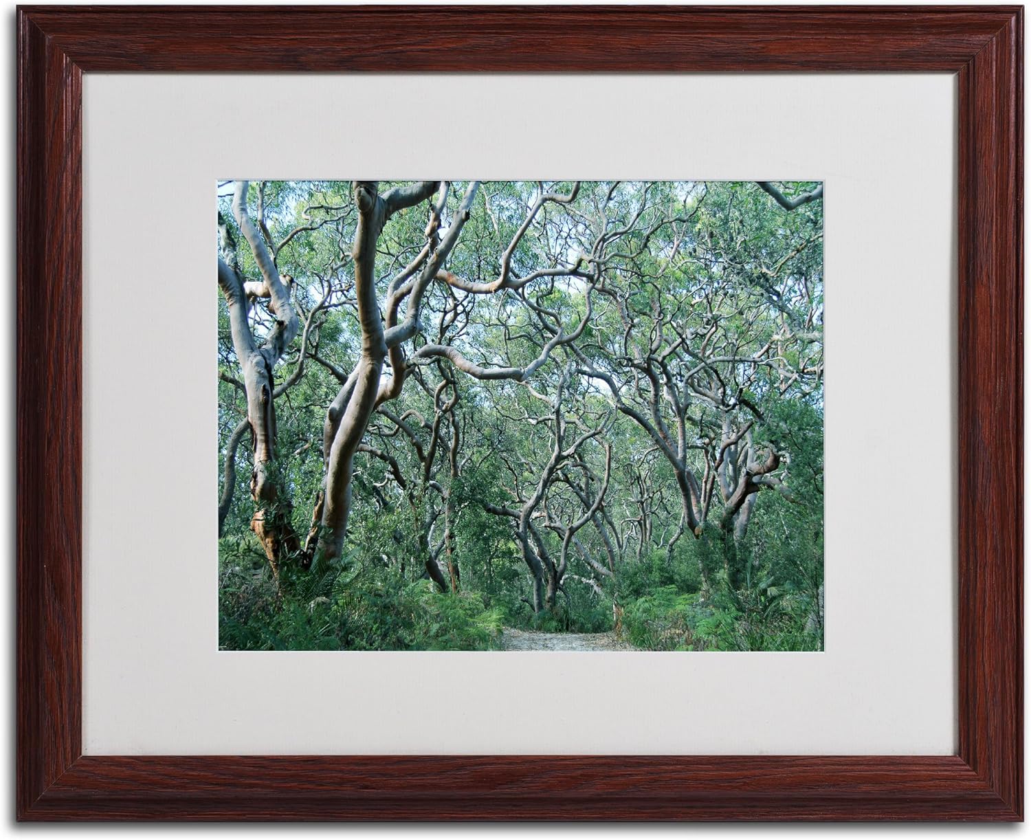 Beautiful Minds Artwork by Beata Czyzowska Young, 16 by 20-Inch, Wood Frame Pack of 2