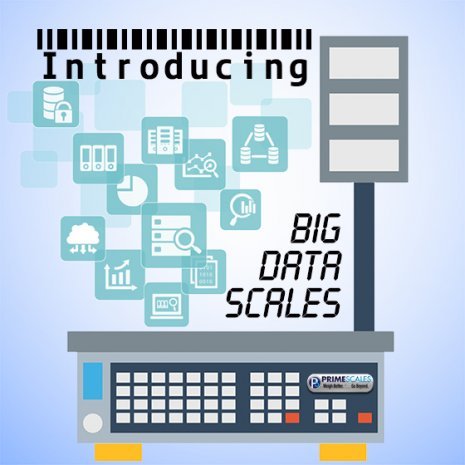 CS2010 2'x2' Legal for Trade Floor Scale w/ Indicator Package