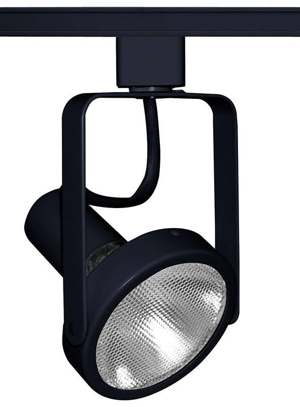 Juno Lighting T363BL Open Back Spotlight PAR30