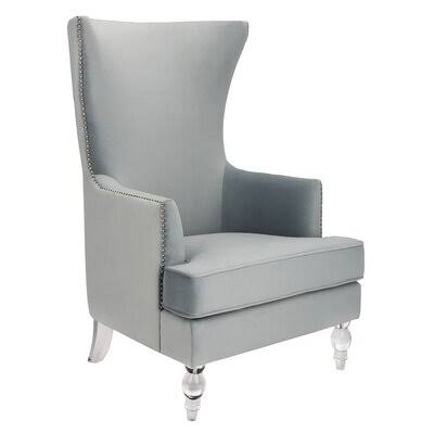 Bree 29.1x22 Wide Velvet Wingback Chair Rosdorf Park Fabric: Light Silver Velvet