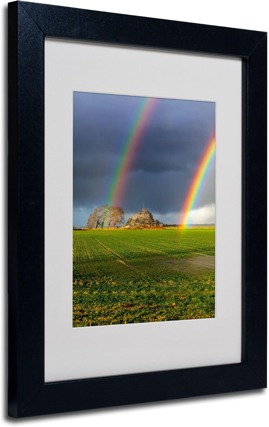 Double Rainbow Artwork by Mathieu Rivrin, 11 by 14-Inch, Black Frame Pack of 2